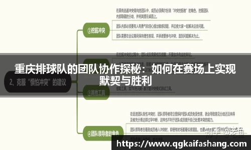 重庆排球队的团队协作探秘：如何在赛场上实现默契与胜利